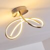 Wengi Taklampa LED Nickel matt, 1-ljuskällor