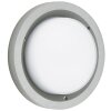 Albert Lampor 6410 Taklampa för utomhusbruk, Taklampa LED Silver, 1-ljuskällor