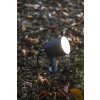 Lutec Lampor EXPLORER Spotlight trädgård LED Antracit, 1-ljuskällor