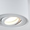 Quimper Taklampa Vit, 1-ljuskällor