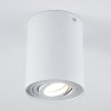 Quimper Taklampa Vit, 1-ljuskällor