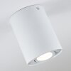 Quimper Taklampa Vit, 1-ljuskällor