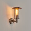 Forli vägglampa utomhus, Vägglampa Färg i rostfritt stål, Genomskinlig, klar, 1-ljuskällor
