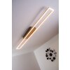 Paul Neuhaus Lampor Neuhaus Taklampa LED Stål borstat, 4-ljuskällor