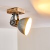Orny Taklampa, Takstrålkastare Grått, 1-ljuskällor Orny Taklampa, Takstrålkastare Grått, 1-ljuskällor