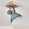 Orny Taklampa, Takstrålkastare Grått, 1-ljuskällor Orny Taklampa, Takstrålkastare Grått, 1-ljuskällor