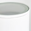 Brachy Utomhusbelysning, Vägglampa LED Vit, 2-ljuskällor