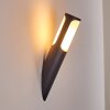 Nalmaibrück vägglampa utomhus, Vägglampa Antracit, 1-ljuskällor