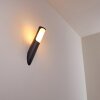 Nalmaibrück vägglampa utomhus, Vägglampa Antracit, 1-ljuskällor