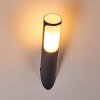 Nalmaibrück vägglampa utomhus, Vägglampa Antracit, 1-ljuskällor