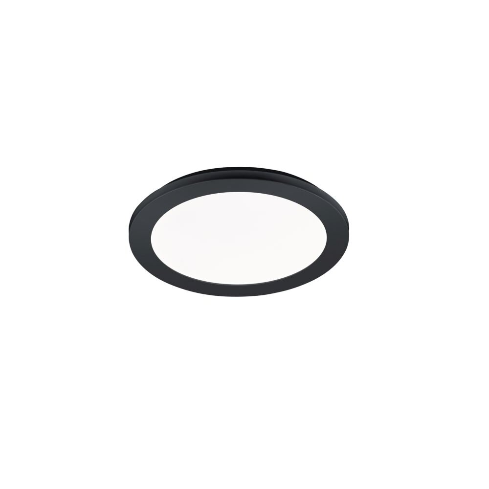 Reality CAMILLUS Taklampa LED Svart, 1-ljuskällor main product photo