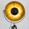 Maloy Golvlampa Krom, Svart, 1-ljuskällor