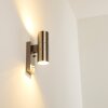 Brachy vägglampa utomhus, Vägglampa Färg i rostfritt stål, 2-ljuskällor, Rörelsedetektor
