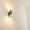 Brachy vägglampa utomhus, Vägglampa Färg i rostfritt stål, 2-ljuskällor, Rörelsedetektor