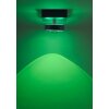 Paul Neuhaus Q-Serie Q-MIA Taklampa LED Antracit, 1-ljuskällor, Fjärrkontroll