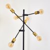 Coppet Golvlampa Svart-guld, 6-ljuskällor