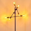 Coppet Golvlampa Svart-guld, 6-ljuskällor