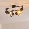 Lichinga Taklampa, Takstrålkastare Svart, 2-ljuskällor