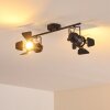 Lichinga Taklampa, Takstrålkastare Svart, 2-ljuskällor