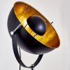 Jupiter Golvlampa Svart-guld, Vit, 1-ljuskällor
