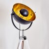 Jupiter Golvlampa Svart-guld, Vit, 1-ljuskällor