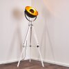 Jupiter Golvlampa Svart-guld, Vit, 1-ljuskällor