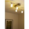 Trio CLAPTON Taklampa, Takstrålkastare LED Aluminium, Krom, Färg i rostfritt stål, 4-ljuskällor