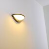 Carano vägglampa utomhus, Vägglampa LED Svart, 1-ljuskällor, Rörelsedetektor