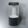 Ledvance ENDURA vägglampa utomhus, Vägglampa LED Svart, 1-ljuskällor