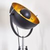 Jupiter Golvlampa Svart-guld, 1-ljuskällor