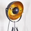 Jupiter Golvlampa Svart-guld, 1-ljuskällor