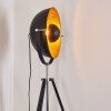 Jupiter Golvlampa Svart-guld, 1-ljuskällor