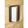 Trio Lampor SUEZ vägglampa utomhus, Vägglampa LED Svart, 1-ljuskällor