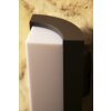 Trio Lampor SUEZ vägglampa utomhus, Vägglampa LED Svart, 1-ljuskällor