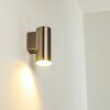 Brachy vägglampa utomhus, Vägglampa LED Färg i rostfritt stål, 1-ljuskällor