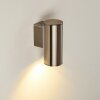 Brachy vägglampa utomhus, Vägglampa LED Rostfritt stål, 1-ljuskällor