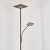 Veteli strålkastare, Golvlampa LED Färg i rostfritt stål, 2-ljuskällor