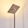 Veteli strålkastare, Golvlampa LED Färg i rostfritt stål, 2-ljuskällor