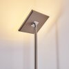 Veteli strålkastare, Golvlampa LED Färg i rostfritt stål, 2-ljuskällor