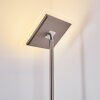 Veteli strålkastare, Golvlampa LED Färg i rostfritt stål, 2-ljuskällor
