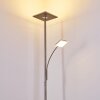 Veteli strålkastare, Golvlampa LED Färg i rostfritt stål, 2-ljuskällor