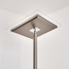 Veteli strålkastare, Golvlampa LED Färg i rostfritt stål, 2-ljuskällor