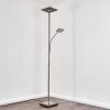 Veteli strålkastare, Golvlampa LED Färg i rostfritt stål, 2-ljuskällor