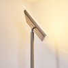 Veteli strålkastare, Golvlampa LED Färg i rostfritt stål, 2-ljuskällor