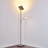 Veteli strålkastare, Golvlampa LED Färg i rostfritt stål, 2-ljuskällor
