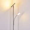 Veteli strålkastare, Golvlampa LED Färg i rostfritt stål, 2-ljuskällor