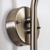 Elima vägglampa utomhus, Vägglampa Färg i rostfritt stål, 1-ljuskällor, Rörelsedetektor
