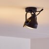 Rahway Taklampa, Takstrålkastare Svart, 1-ljuskällor