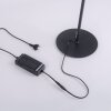 Leuchten Direkt CURLS Golvlampa, Golvlampa LED Svart, 2-ljuskällor