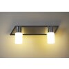 Trio CLAPTON Vägglampa, Väggspotlight LED Aluminium, Krom, Färg i rostfritt stål, 2-ljuskällor